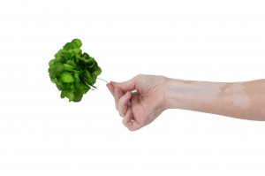 posy-hortensia-stabilise-14.
