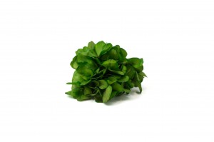 stabilisierte-hortensien-posy-14.