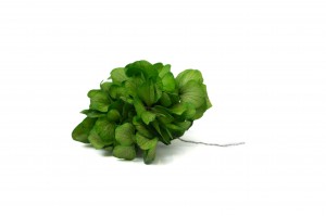stabilisierte-hortensien-posy-14.
