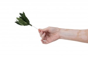 preserved-posy-velvet-leaves-14.