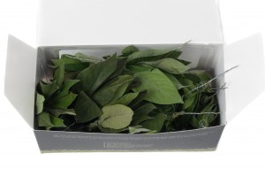stabilisierte-velvet-blaetter-posy-14.