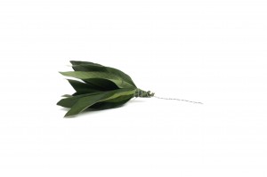 stabilisierte-velvet-blaetter-posy-14.