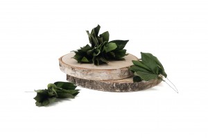 stabilisierte-velvet-blaetter-posy-14