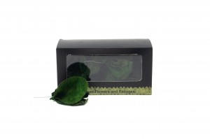 preserved-posy-tibouchina-leaves-14.