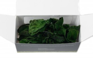 preserved-posy-tibouchina-leaves-14.