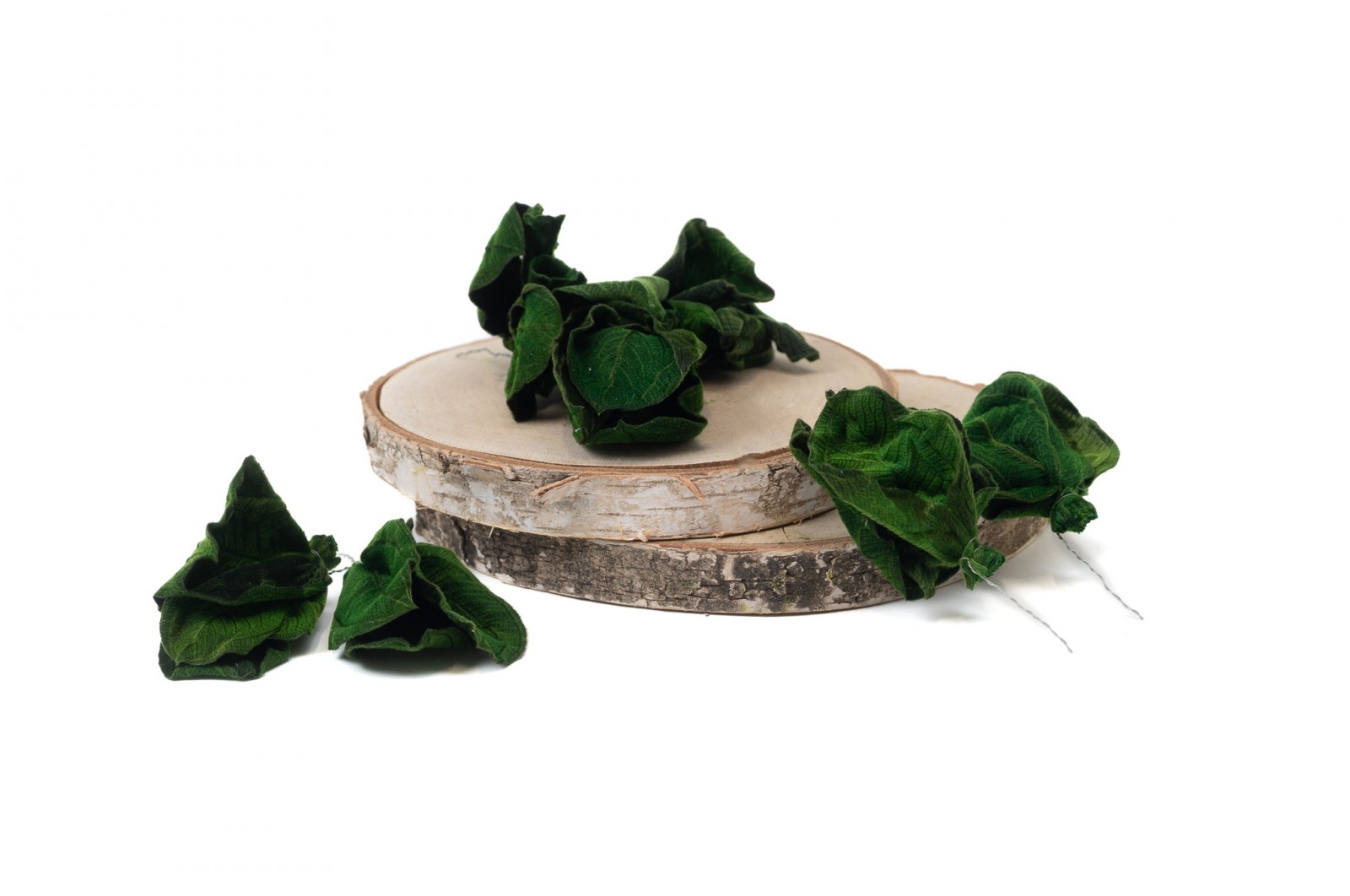 Preserved posy tibouchina leaves (14) preserved-posy-tibouchina-leaves-14