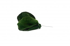 preserved-posy-tibouchina-leaves-14.