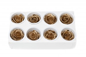 tetes-de-roses-kiara-satinees-stabilisees-l-37.