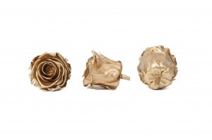 tetes-de-roses-kiara-satinees-stabilisees-l-37.