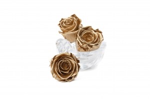 tetes-de-roses-kiara-satinees-stabilisees-l-37.