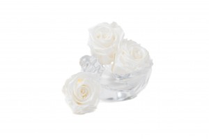 tetes-de-roses-kiara-satinees-stabilisees-l-37.