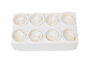 preserved-kiara-satin-rose-heads-l-37.