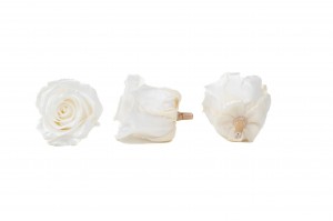tetes-de-roses-kiara-satinees-stabilisees-l-37.