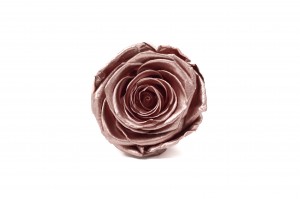 tetes-de-roses-kiara-satinees-stabilisees-l-37.
