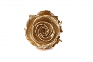 tetes-de-roses-kiara-satinees-stabilisees-xl-37