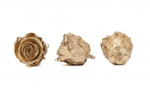 tetes-de-roses-kiara-satinees-stabilisees-xl-37.