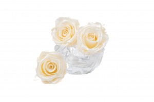 tetes-de-roses-kiara-satinees-stabilisees-xl-37.