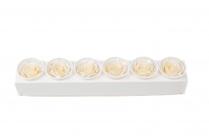 tetes-de-roses-kiara-satinees-stabilisees-xl-37.
