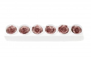 tetes-de-roses-kiara-satinees-stabilisees-xl-37.