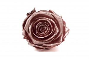 tetes-de-roses-kiara-satinees-stabilisees-xl-37.