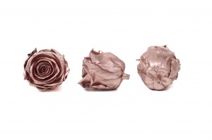 tetes-de-roses-kiara-satinees-stabilisees-xl-37.