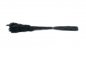 lagurus-sec-20.