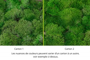 mousse-boule-de-lichen-stabilisee-26.