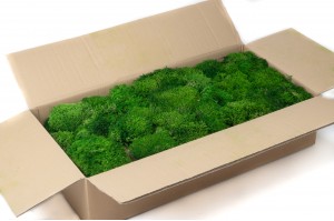 preserved-lichen-ball-moss-26.