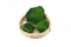 mousse-boule-de-lichen-stabilisee-26.