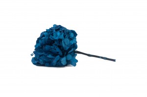 preserved-hydrangea-14.