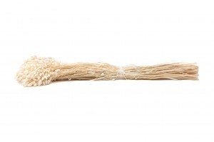 dried-briza-maxima-39.