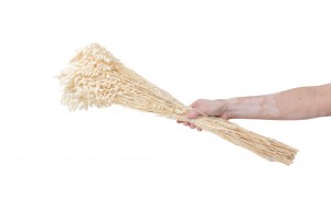 dried-briza-maxima-39.