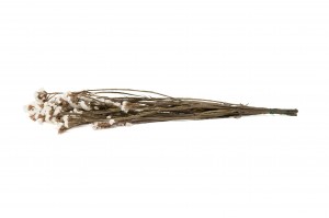 stabiliserte-statice-6.