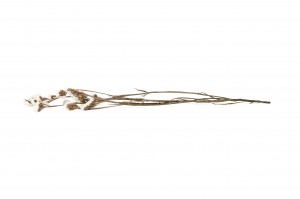 stabiliserte-statice-6.