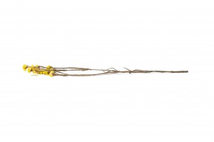 stabiliserte-statice-6.