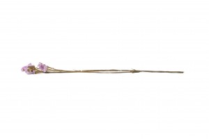 stabiliserte-statice-6.