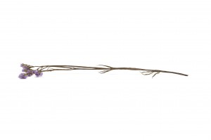 stabiliserte-statice-6.