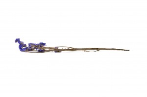 stabiliserte-statice-6.