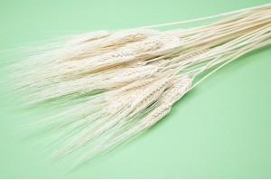 ble-barbu-sec-11
