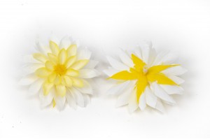 stabilisierte-dahlia-09.