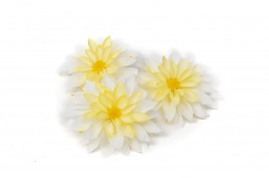 preserved-dahlia-09.