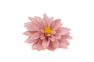 preserved-dahlia-09.