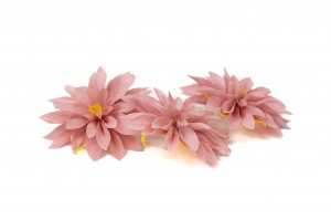dahlia-stabilise-09.
