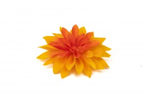 preserved-dahlia-09