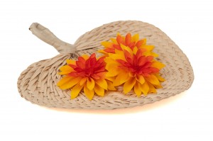 dahlia-stabilise-09.