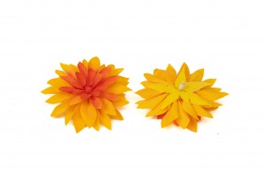 stabilisierte-dahlia-09.