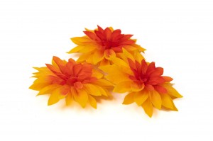 preserved-dahlia-09.
