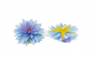 stabilisierte-dahlia-09.