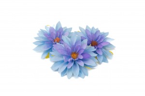 stabilisierte-dahlia-09.