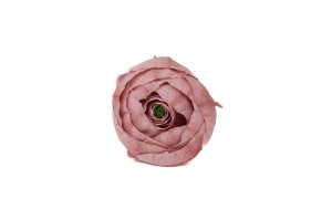 preserved-ranunculus-09
